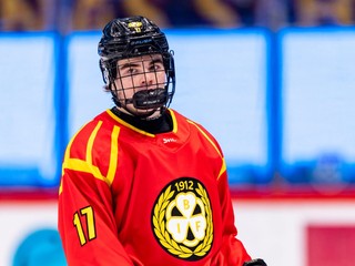 Slovenský útočník Michal Svrček v drese Brynäs IF. 